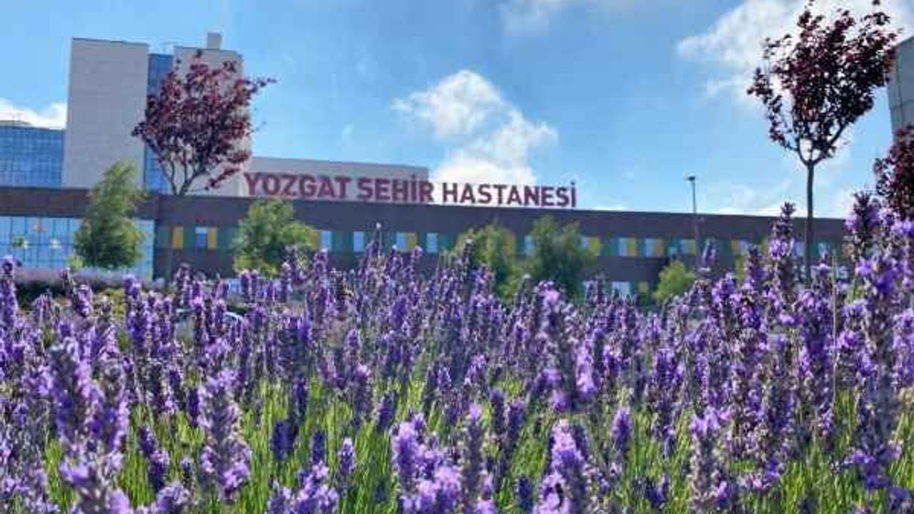Yozgat Şehir Hastanesi çevresinde bulunan lavanta çiçekleriyle görsel şölen sunan peyzajı ile de açık hava stüdyosunu andırıyor