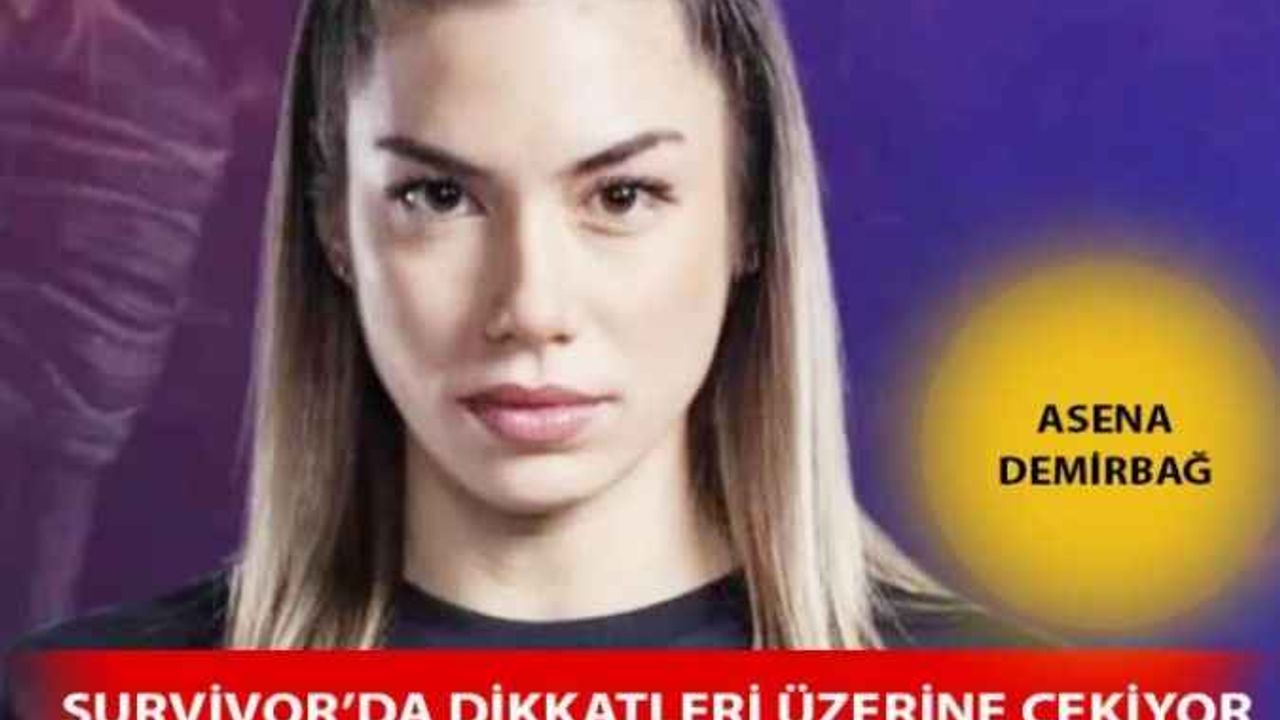 Survivor Asena Demirbağ Kimdir?