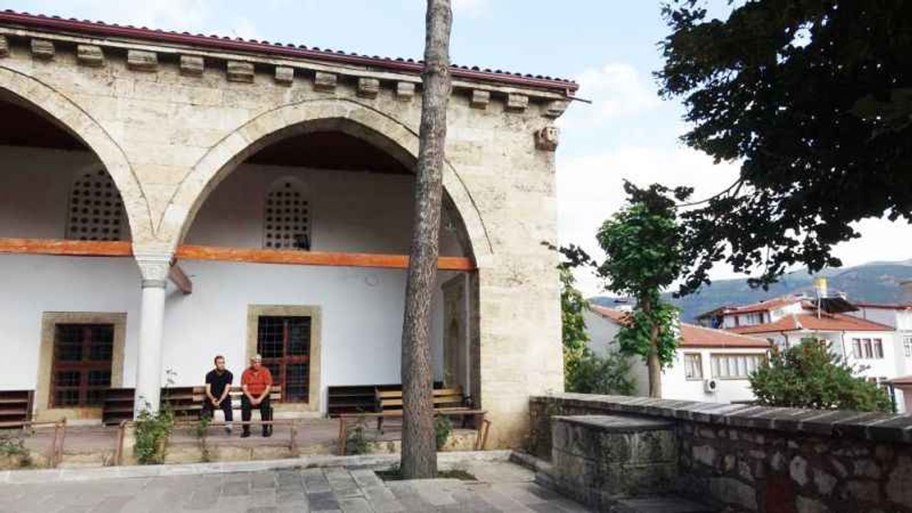 Türkiye şehirleri hayvan olsaydı Tokat hangi hayvan olurdu?