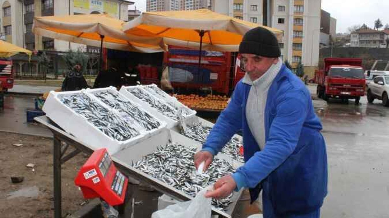 Yozgat Pazarında Balık Satışları Düştü: Resmen Dibi Gördü! (12/12/2023)