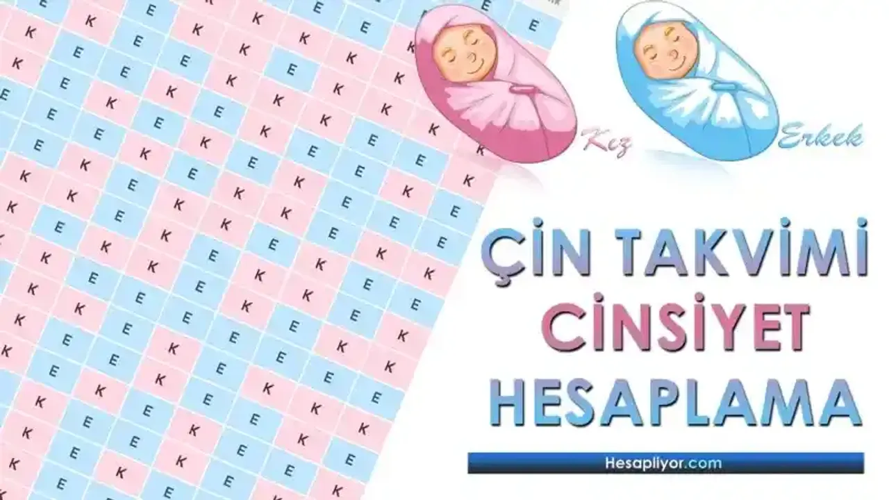 Çin Takvimi Cinsiyet Hesaplama Doğru mu?