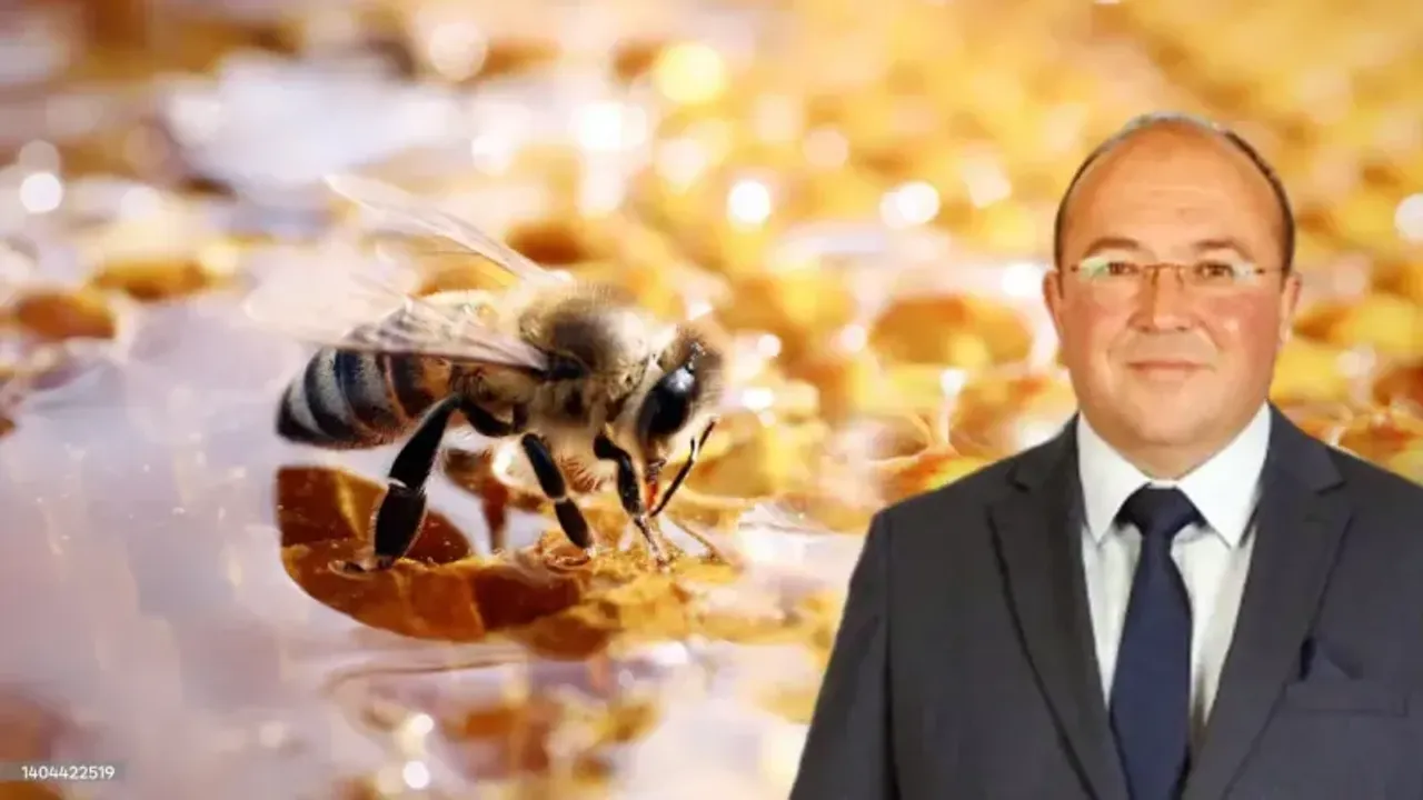 Çayıralan yine çok ballı: iki gün boyunca yok yok! Anadolu'nun en lezzetli buluşmasına davetlisiniz