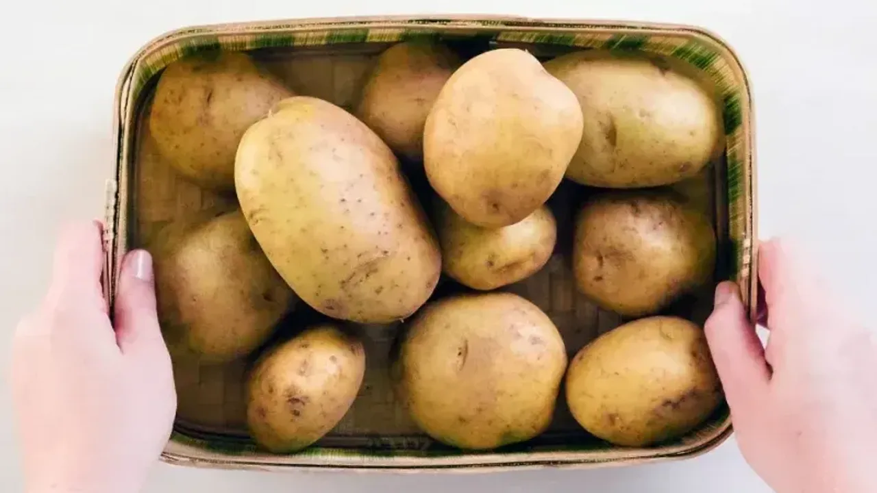 Yozgat'ta Kış Hazırlıkları Başladı: Patates Saklama Yöntemleri