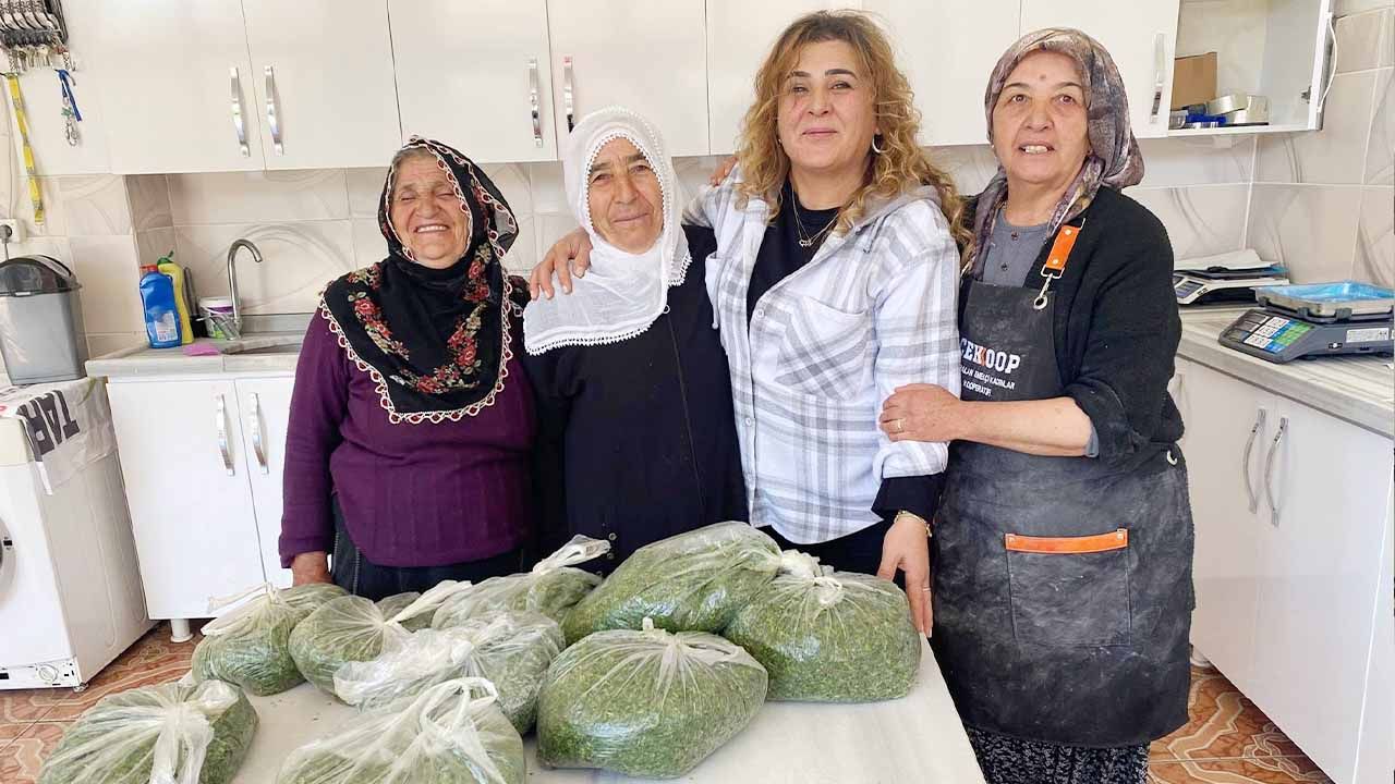Yozgat'ın Çayıralan İlçesi’nde Çekoop, Kadın Üreticilere Ekonomik Destek Sağlıyor