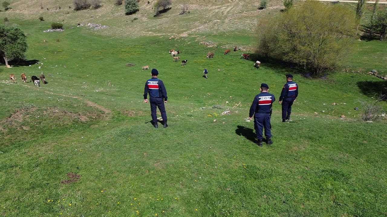 Yozgat Jandarması Kayıp Hayvanları Buldu