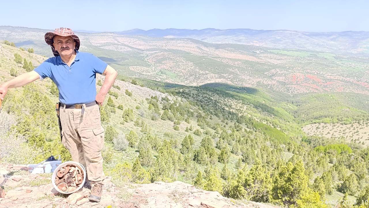 Yozgat Yaylaları Şifa Saçıyor! Parayla Bulamadığınız Şifayı Kenan Hoca Elleriyle Topladı!