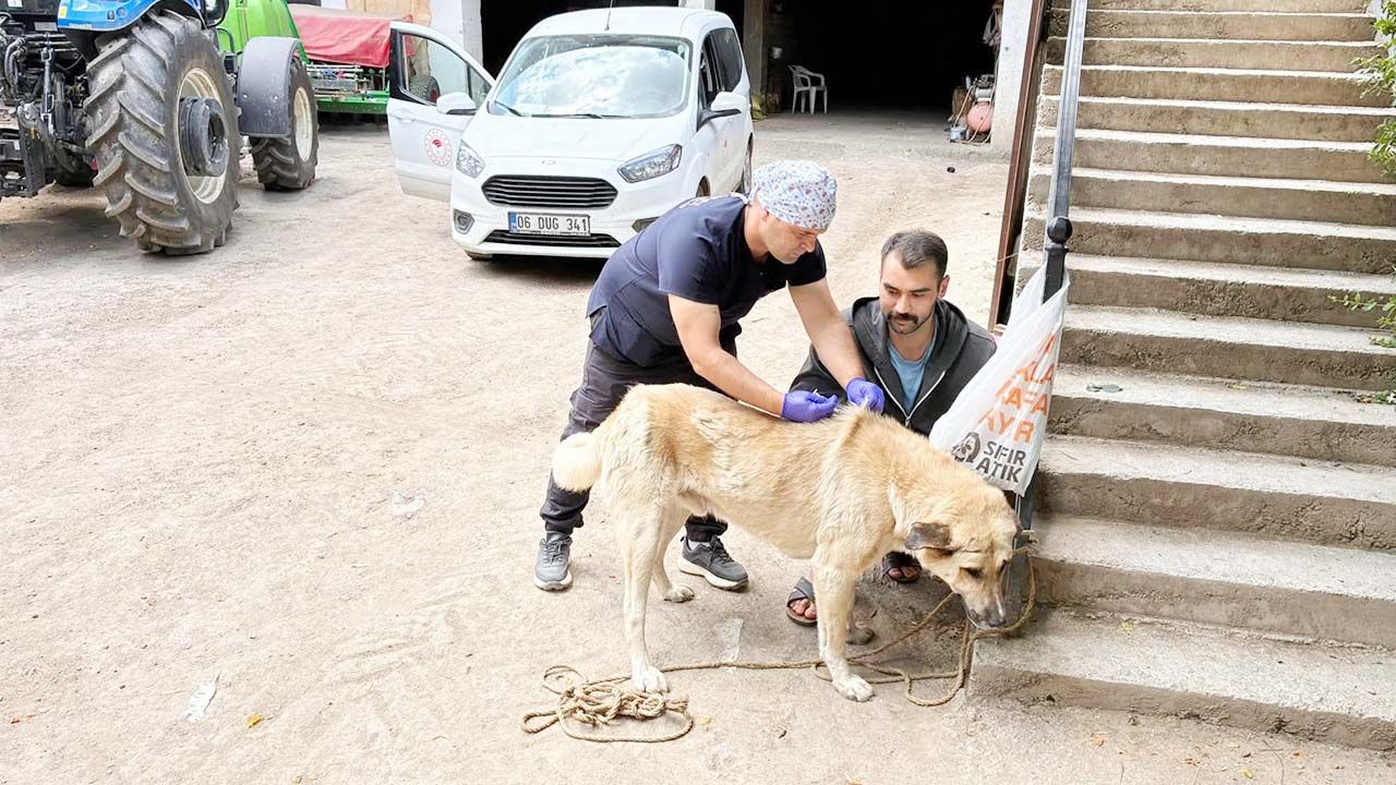 Yozgat’ta Hayvan Sahiplerine Kritik Uyarı: Son Gün 31 Aralık