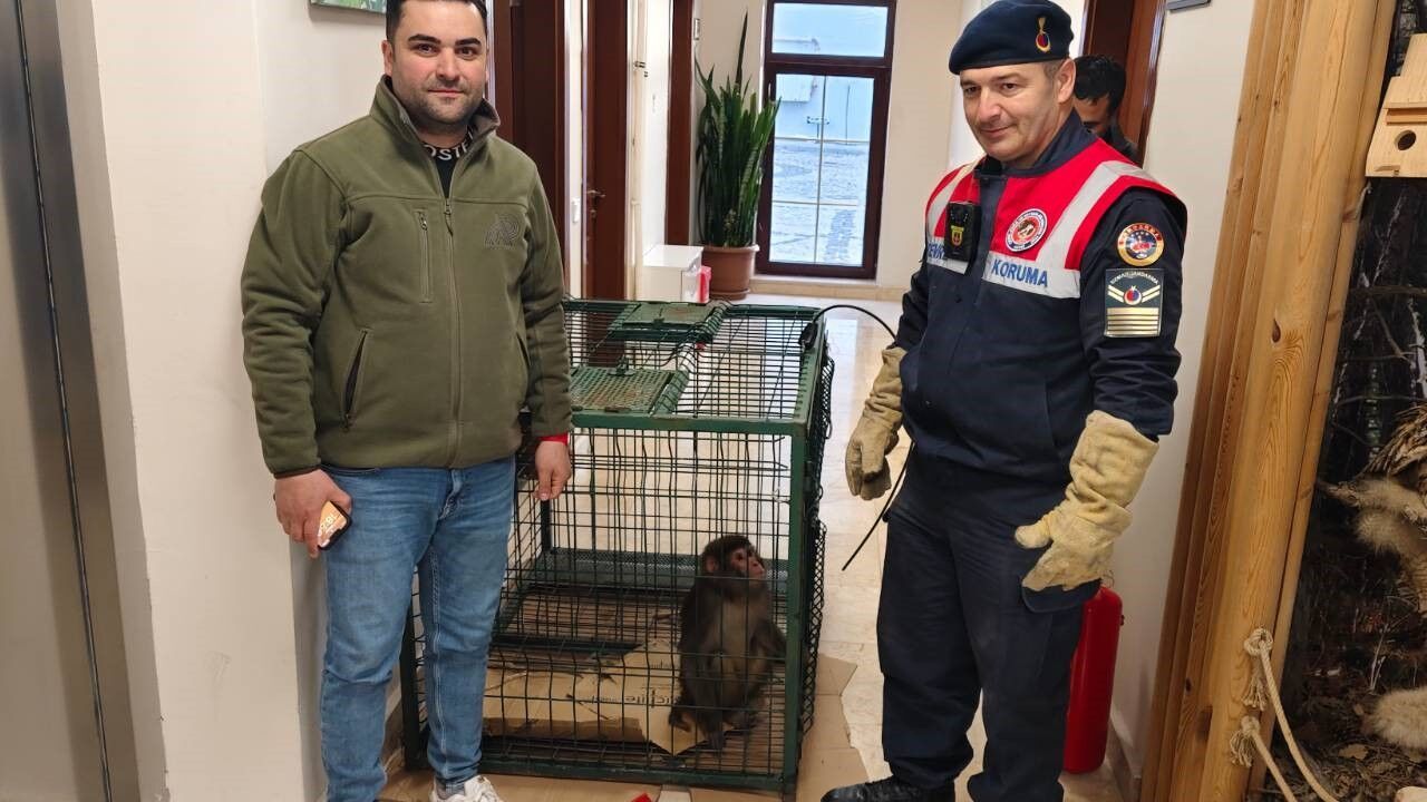 Yozgat Kırsalında Şaşırtan Keşif: Köy Yolunda Görülen 'Hint Şebeği' Ekipleri Harekete Geçirdi