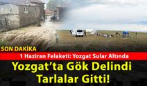 Yozgat ve 6 İlçesinde Sel ve Dolu Felaketi: Tarım Arazileri Zarar Gördü