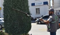Yozgat’ta Refüj Değil, Açık Hava Sanat Galerisi! Bir bakan bir daha bakıyor
