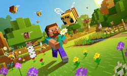 Minecraft 1.21.30.03, Minecraft envanter koruma, Minecraft 1.19.0.20 apk indir