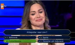 Ahtapotlar nasıl ürer? Ahtapotlar yumurtlar mı, doğurur mu?