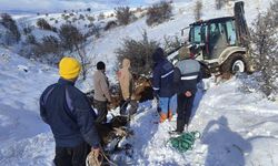 Akyurt Belediyesi Mahsur kalan hayvanlar için seferber oldu