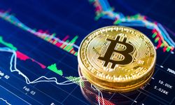 Bitcoin Neden Düşüyor Son Dakika 26 Kasım 2024 ?