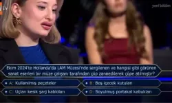 Ekim 2024'te Hollanda'da LAM Müzesi'nde sergilenen ve hangisi gibi görünen sanat eserleri bir müze çalışanı tarafından çöp zannedilerek çöpe atıldı?