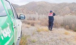 Yozgat’ta HAYDİ Ekiplerinden Yaban Hayatına Destek!