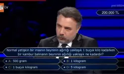 Kambur balina beyni kaç kilogramdır?