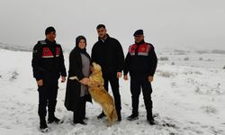 Yozgat Jandarmasına Kayıp Cins Köpeği Sahibine teslim etti