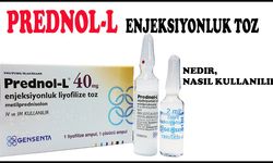 Prednol Nedir?