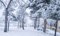 Kar yağışı Yozgat'ın Sarıkaya İlçesi'nde de etkili oldu