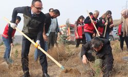 Şefaatli’de 400 Fidan Toprakla Buluştu!