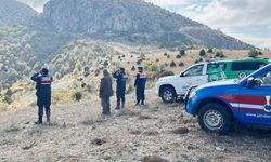 Yozgat’ta Turizme Kazandırılacak! Dağ Keçileri Doğada!