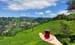 Türkiye'de Çay Tüketimi Azaldı!