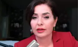 Özlem Gürses Neden Gözaltına Alındı? TSK ve SMO Hakkındaki Sözleri Ne?