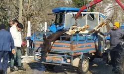 Ahırda çıkan yangında 5 büyükbaş hayvan telef oldu