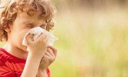 Yozgatlılar Dikkat! Her 5 Çocuktan 2'si Alerjik Rinitten Etkileniyor
