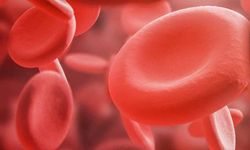 Hemofili Hastalarının Sağlıklı Bir Yaşam Sürmesi Mümkün