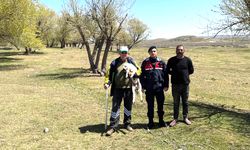 Yerköy’de Başıboş Küçükbaş Hayvan Sahibine Teslim Edildi