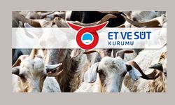 Et ve Süt Kurumu 2025 Et Fiyatlarını Güncelledi: Kırmızı Ette Artış, Beyaz Ette Sabit Fiyatlar