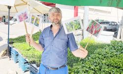 Yozgat’ta Yerli Fideye İlgi Artıyor Bahçeler Şenleniyor!