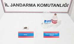 Yozgat’ta Ormanlık Alanda Bonzai Operasyonu!