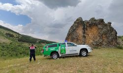 Yozgat’ta Cehrilik Lalesi Koruma Altında