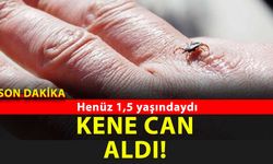 Yozgat'ın da korkulu rüyası olan kene can aldı! Daha 1,5 yaşındaydı!