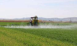 Yozgat’ta 1 Milyon TL Değerindeki Tarla Mahkemeden Satışta!