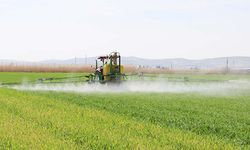 Yozgat Sorgun’da Mahkemeden Satılık Verimli Tarla!