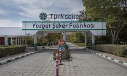 Türk Şeker Kurasından kaç Yozgatlı çıktı? Mülakatlar nasıl yapılacak?