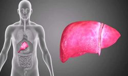 Alanin Aminotransferaz (Alt) Nedir