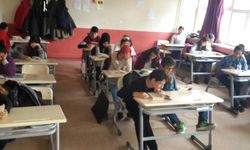 Çok Programlı Anadolu Lisesi Nedir