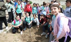 Yozgat'ta atıl vaziyette duruyordu: Yozgat Belediyesi el attı