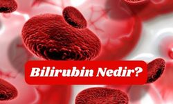 Bilirubin Direkt Yüksekliği Nedir