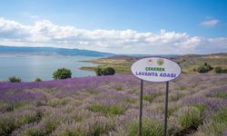 Bayram Tatiline Gelmişken Görmeden Gitmeyin Yozgat’ın Saklı Cenneti Lavanta Adası
