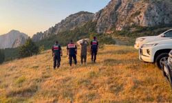 Yozgat'ın Kazankaya Kanyonu'nda Yaban Keçileri Görüntülendi