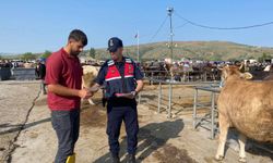 Sorgun Jandarma’sından sahte para ve dolandırıcılık uyarısı