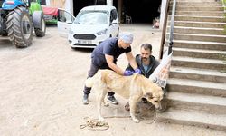 Yozgat Valiliği Çok Önemli Kod İle Uyardı: Aşıları Yapılmazsa Sonuçları Ağır Olur!