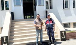 Yaralı Şahin’e Yozgat Jandarması Umut Oldu!