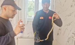 Yozgat’ta Bir Yılan İstinat Duvarında Sıkıştı İtfaiye Hayata Döndürdü!